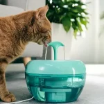 jak-je-fontana-dobra-pro-kocky-veterinar-prozradil-4-jednoduche.webp.webp